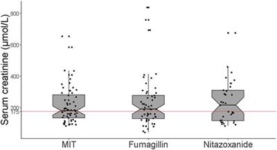 Fumagillin Shortage: How to Treat Enterocytozoon bieneusi Microsporidiosis in Solid Organ Transplant Recipients in 2024?